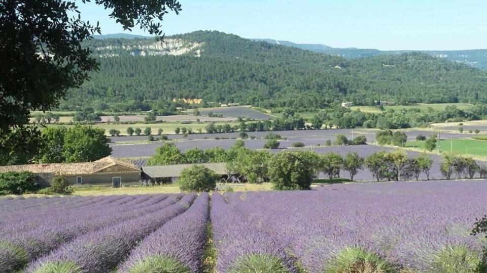 Chambre Privee Independante Au Coeur Du Luberon Saint-Saturnin-lès-Apt Dış mekan fotoğraf